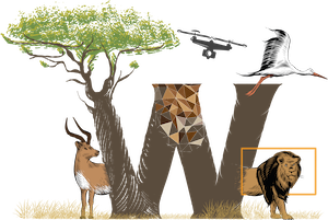 WildDrone logo
