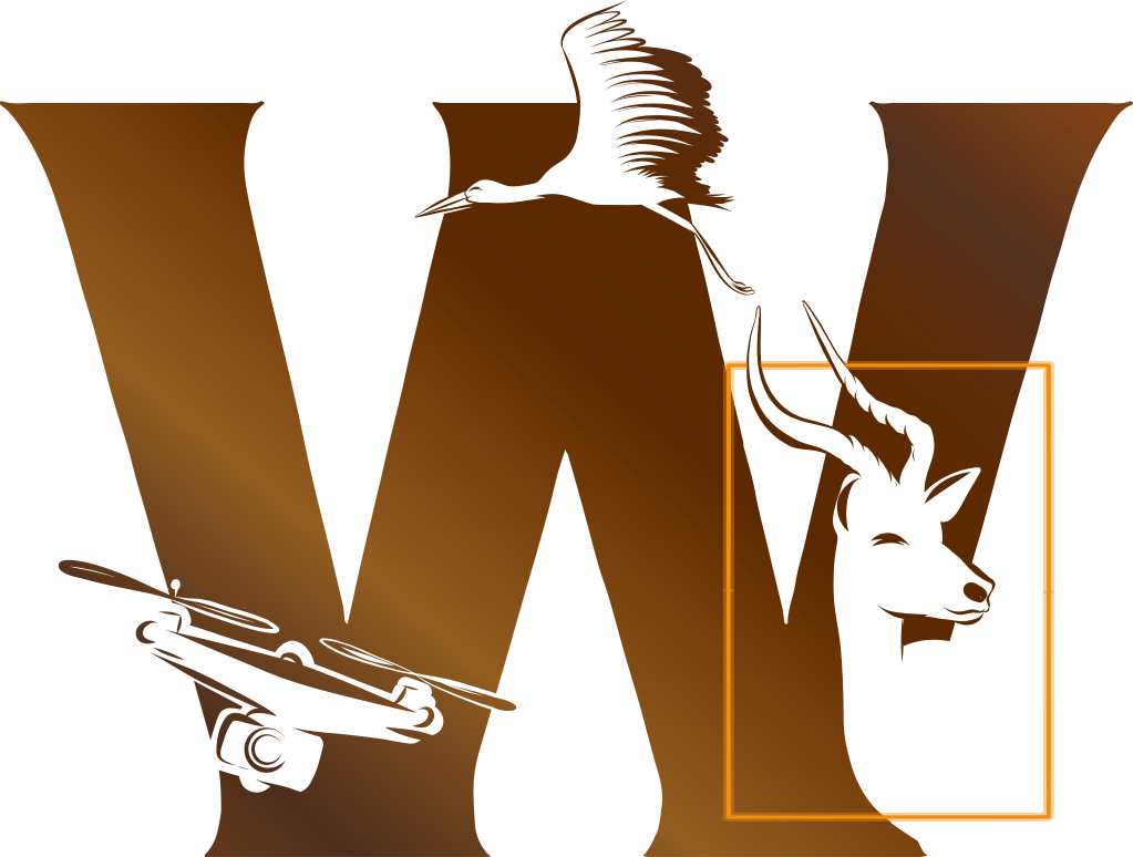WildDrone logo